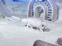 -珠海长隆海洋王国