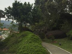 -厦门国家会计学院
