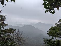 -大岭沟猕猴桃谷风景区