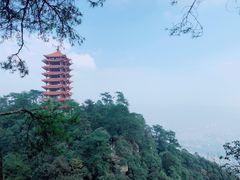 -缙云山景区