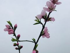 -红山体育乐园