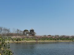 -上海海湾国家森林公园