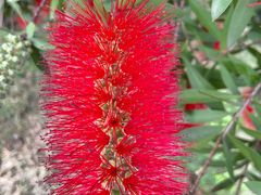 -眉山湿地公园(东坡区)