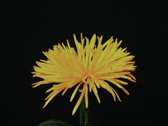 -北京植物园-展览温室