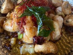 -Hi City·城市之巅