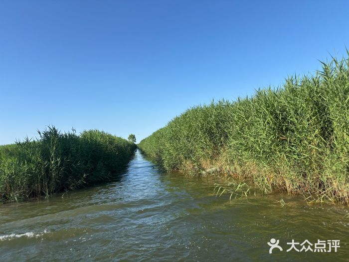 白洋淀景区图片