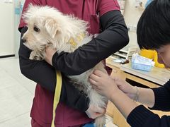 -美联众合动物医院·24h京西诊疗中心