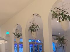 -春树下·树屋花房西餐厅(罍街AS1980店)