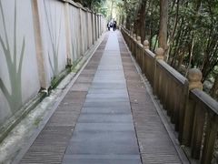 -上海佘山国家森林公园西佘山园