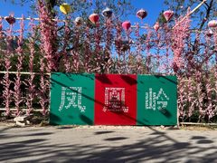 -北京凤凰岭