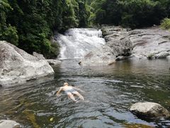 -海南热带雨林国家公园吊罗山景区