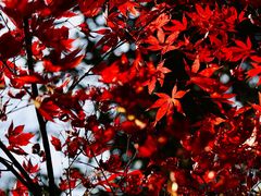 -敬亭山风景名胜区