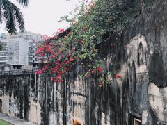 -石炮台公园