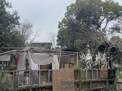 -树山生态村