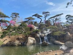 -罗红摄影艺术馆