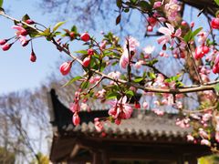 -堤角公园