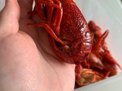 -霸王虾·麻辣小龙虾(清水河公园店)