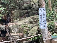 -莫干山风景区
