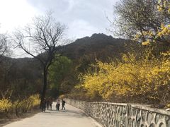 -北京鹫峰国家森林公园