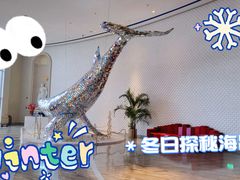 -上海海昌海洋公园