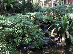 -绿光森林餐厅