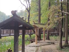 -东湖落雁景区