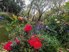 -人民公园(罗湖区)