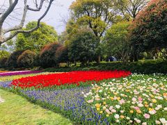 -上海鲜花港