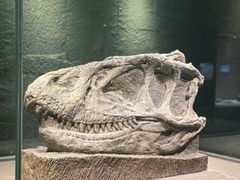 -自贡恐龙博物馆