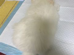-北京佳信宠物医院