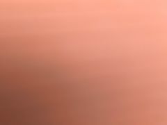 -巢爷老味(东方红店)