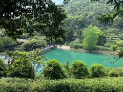 -九龙潭景区