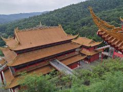 -东莞市大岭山森林公园