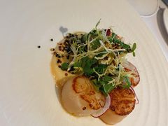 -蝶舍·MAISON PAPILLON