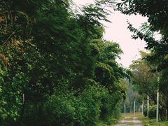 -白鹭湾湿地公园