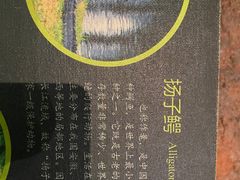 -湖州博物馆