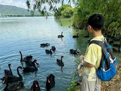 -长兴太湖图影湿地文化园