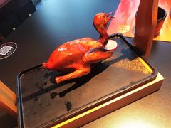 -羽鸽集·乳鸽专门店·地道顺德菜(岭南站店)