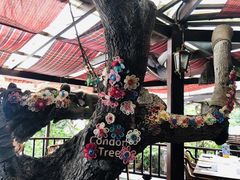 -卷心菜和避孕套餐厅(Pattaya)