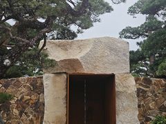 -陈村花卉小镇-花卉世界