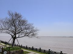 -观潮胜地公园