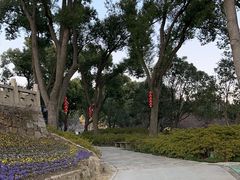 -苏州上方山国家森林公园