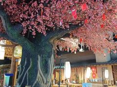 -寻钵记民菜馆·正宗常德钵子菜(滨湖路店)