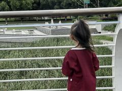 -葛仙湖公园