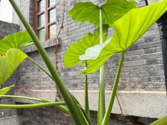 -重庆十八梯传统风貌区