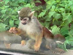 -石家庄市动物园