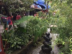 -黄龙溪古镇