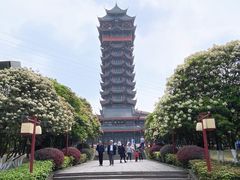 -塔子山公园
