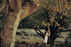 点击看大图 -风马映像摄影工作室(布宫店)