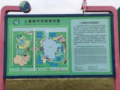 -上海都市菜园